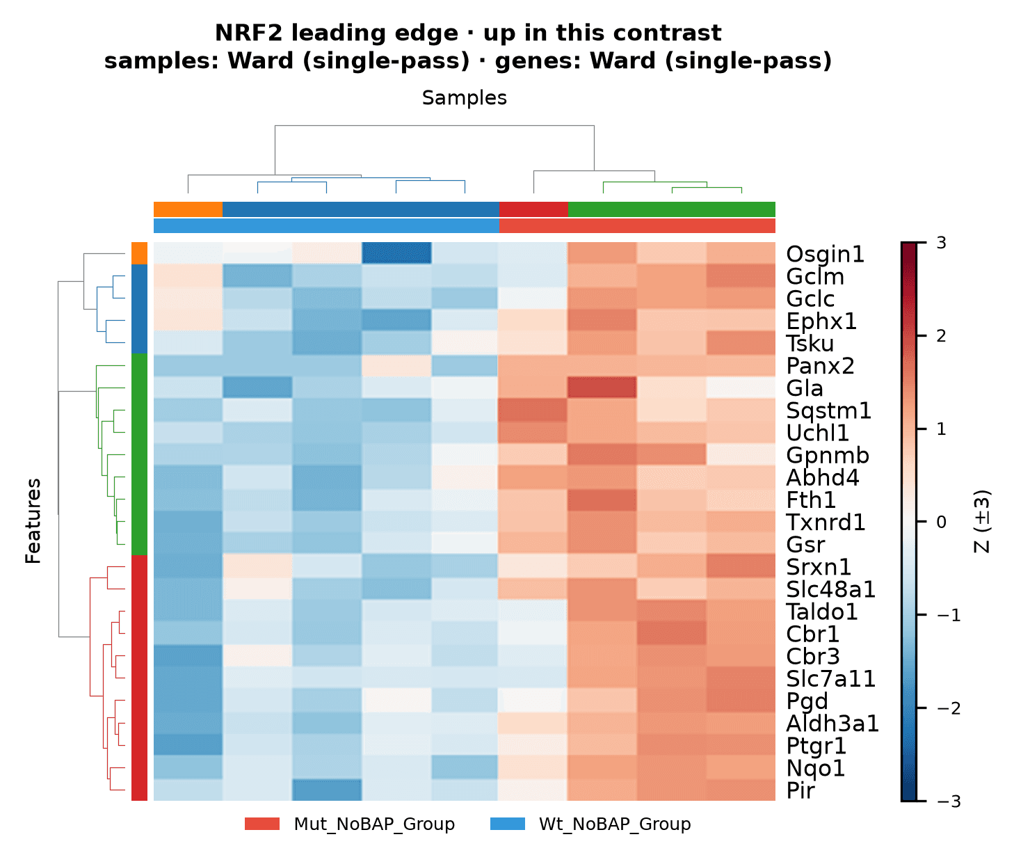 NRF2 leading-edge gene-expression heatmap for four Keap1-deleted and five wild-type tumors without BAP